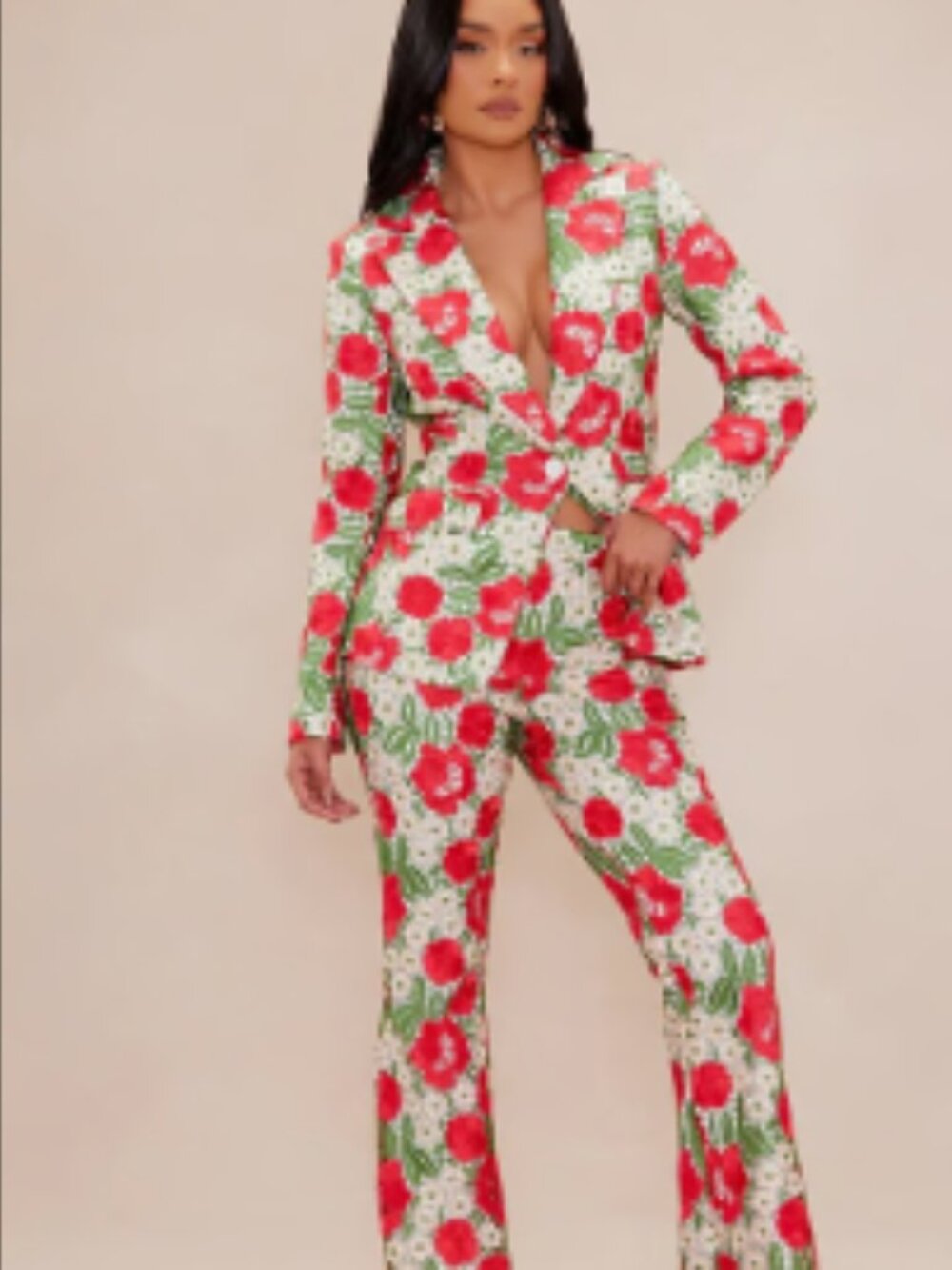 Isadora Embroidered Blazer and Pant Suit Set